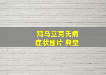 鸡马立克氏病症状图片 典型